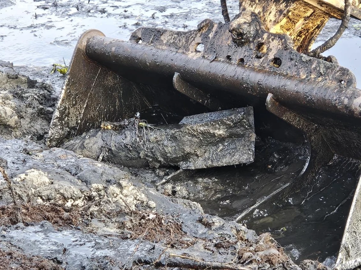 Dwa niewybuchy z czasów drugiej wojny światowej znaleziono w miejscowości Przedbórz w województwie łódzkim. Na miejscu pracuje patrol saperski. Jak dowiedział się reporter RMF FM Beniamin Kubiak-Piłat, służby zapewniają, że ewakuacja nie jest konieczna.