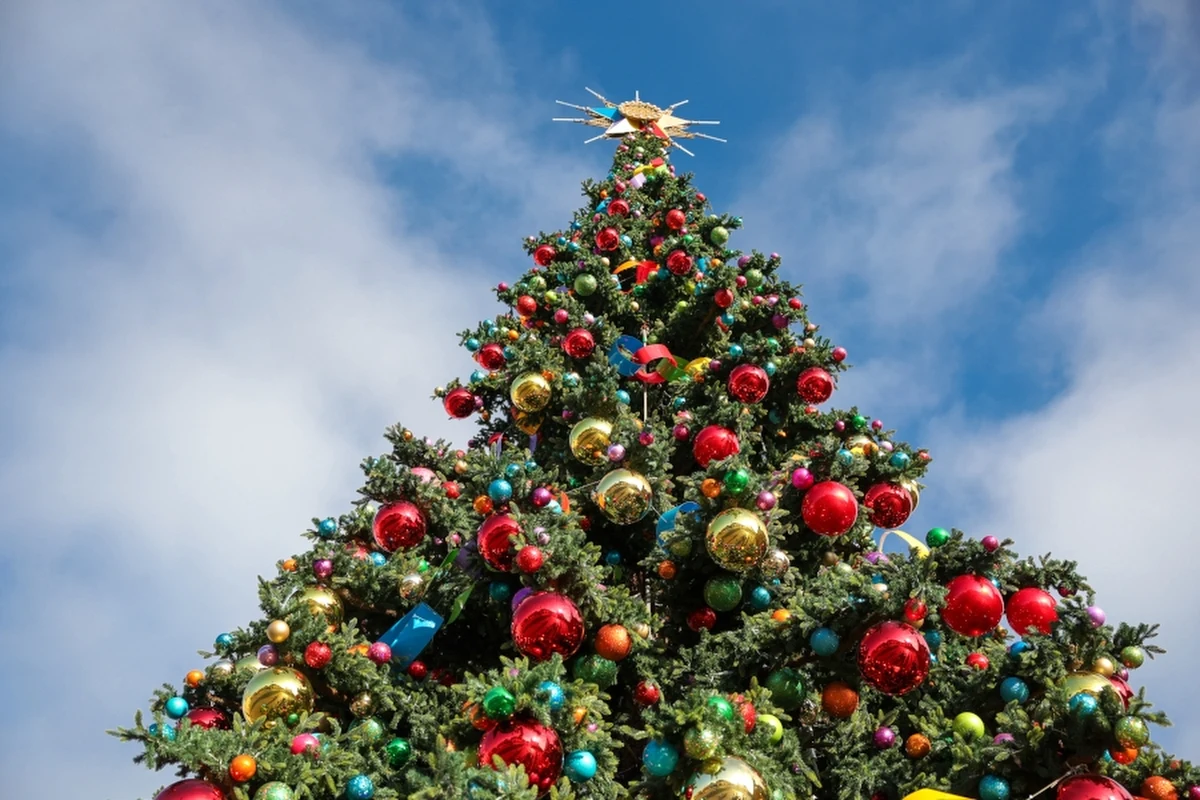 W środę o godz. 18.00 prezydent Warszawy Rafał Trzaskowski rozświetli na placu Zamkowym 27-metrową choinkę. W tym samym momencie uruchomiona zostanie świąteczna iluminacja miasta. 