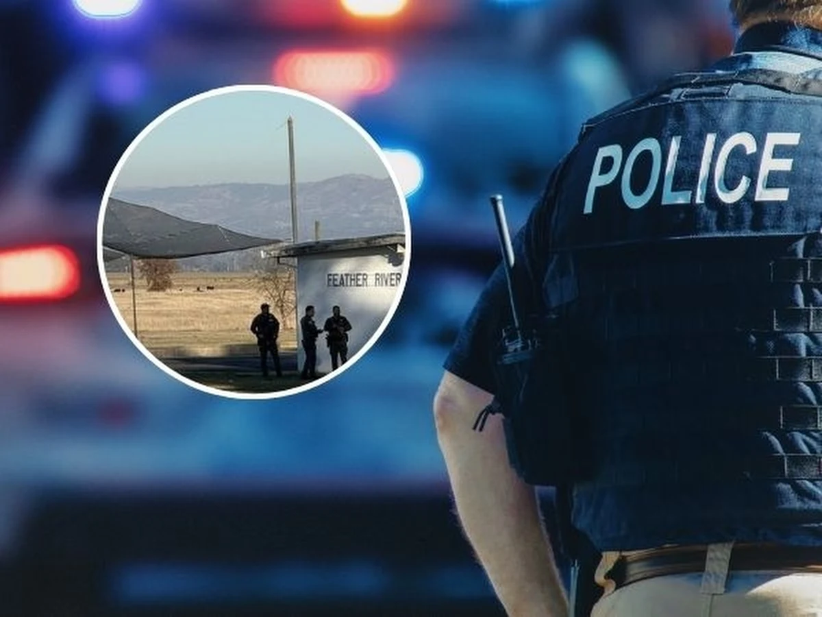 Do strzelaniny doszło w małej szkole podstawowej w kalifornijskim hrabstwie Butte. Dwóch uczniów doznało obrażeń, a podejrzany o otwarcie ognia mężczyzna zmarł od zadanych sobie ran - poinformowały lokalne władze.