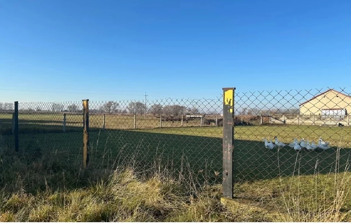 "Zakładamy, że w najbliższych tygodniach wojewoda mazowiecki wyda decyzję lokalizacyjną dla nowego lotniska w ramach Centralnego Portu Komunikacyjnego" - poinformował prezes spółki CPK Filip Czernicki. Dodał, że zgodnie z harmonogramem prace na terenie portu ruszą w 2026 r.