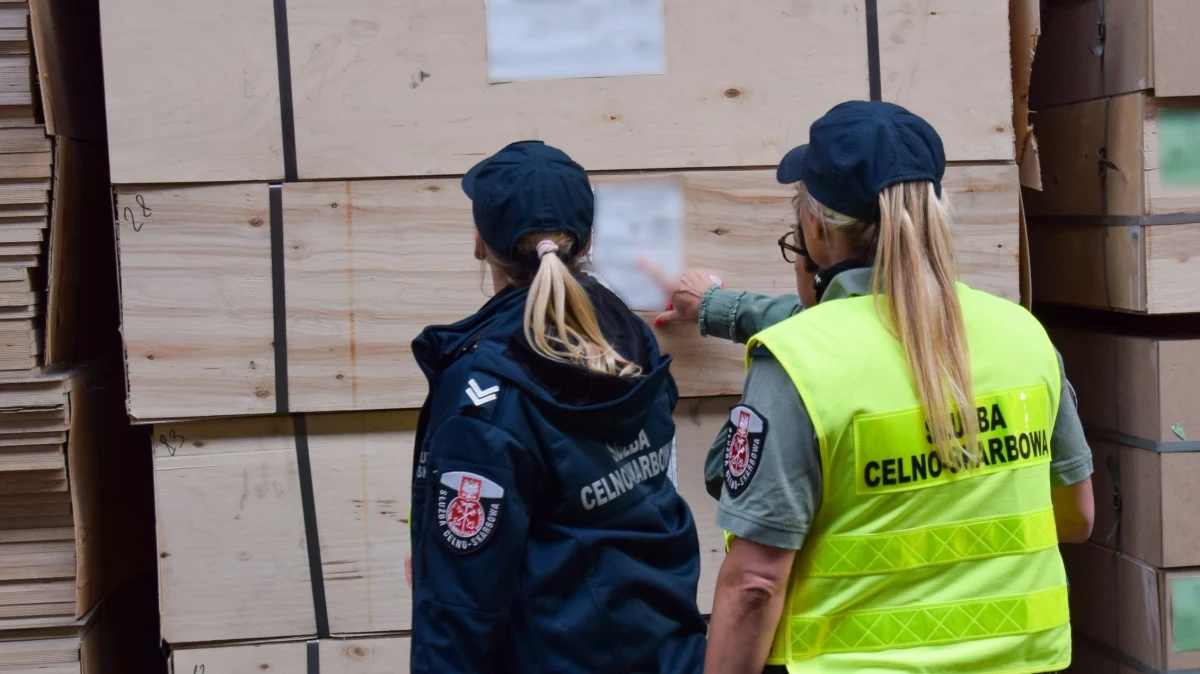 ​Służby, w ramach kontroli przestrzegania unijnych sankcji, sprawdziły lokale mieszkalne, biura prowadzonej działalności i hale magazynowe. Funkcjonariusze zabezpieczyli dokumentację dotyczącą współpracy z podmiotami białoruskimi i rosyjskimi w zakresie obrotu drewnem.