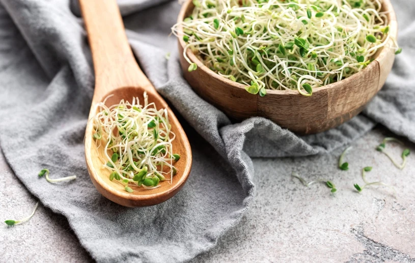 A handful of sprouts a day may boost your health — here's what research says