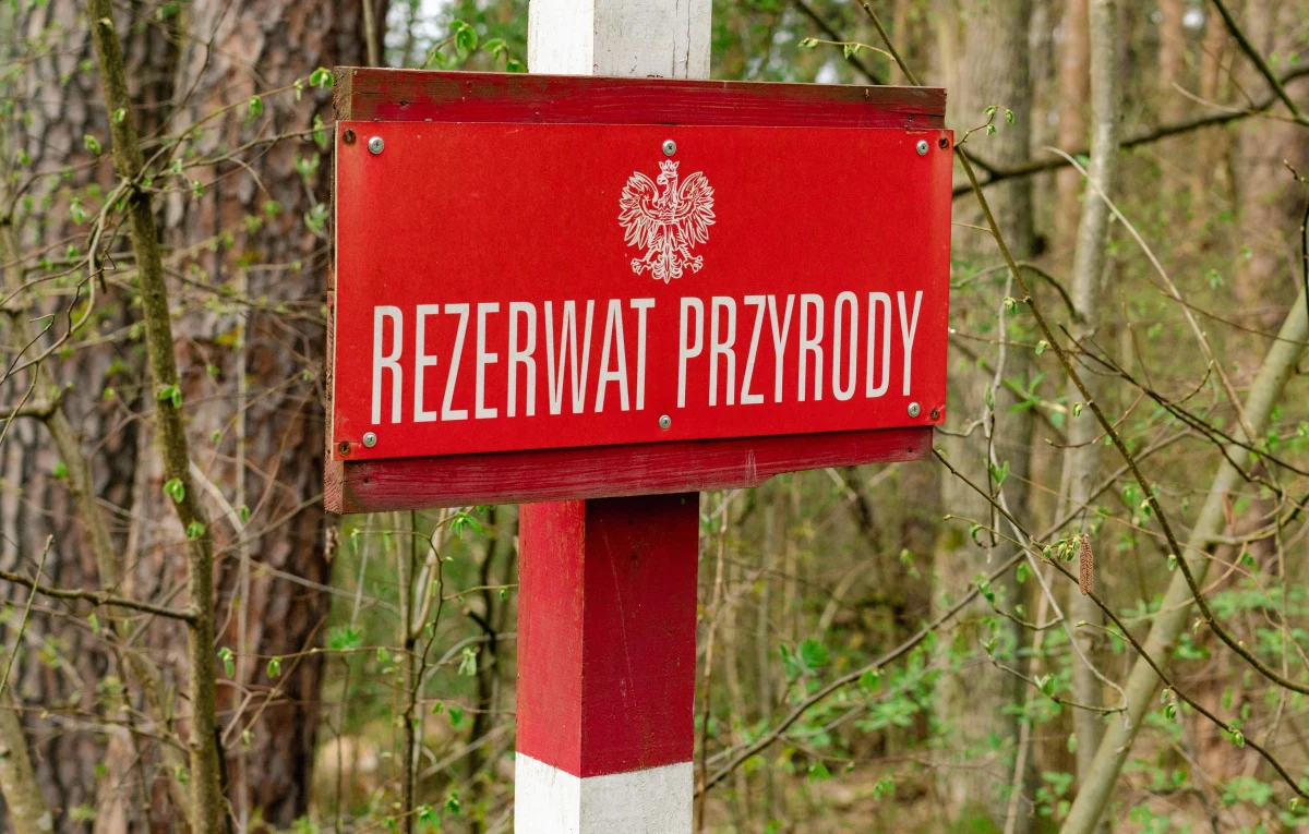 Trzy nowe rezerwaty przyrody wyznaczono na terenie województwa lubelskiego. Ich prawna ochrona zacznie obowiązywać za niecałe dwa tygodnie