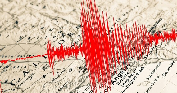 Trzęsienie ziemi o magnitudzie 7,0 odnotowano w czwartek wieczorem polskiego czasu w pobliżu Ferndale u wybrzeży Kalifornii. Służby wydały ostrzeżenie przed tsunami, m.in dla San Francisco, ale później alerty odwołano.