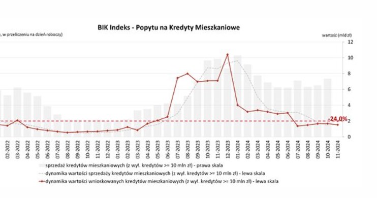 /Źródło: BIK /