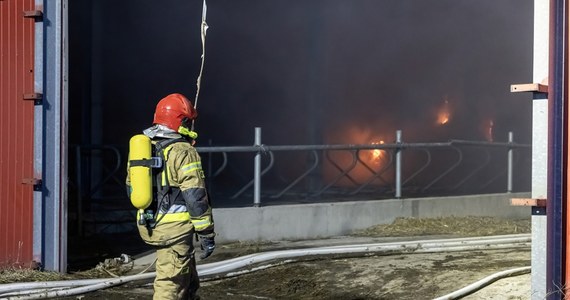 Zakończyła się akcja strażaków w Komorowie na Dolnym Śląsku. W pożarze spłonęło prawie dwa i pół tysiąca metrów kwadratowych hali, w której produkowano pianki poliuretanowe. Na miejscu zostały dwa zastępy straży pożarnej, które pilnują pogorzeliska. W niedzielę rano miejsce ma zostać sprawdzone przez policję i prokuraturę.