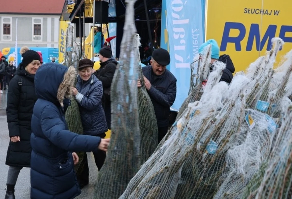 Kolejne "Choinki pod choinkę od RMF FM i Małopolski" rozdane! W sobotę rano kilkaset drzewek trafiło do chętnych w Bochni, a po południu byliśmy z Wami w Oświęcimiu. Atrakcji było co niemiara! Już w niedzielę spotykamy się w Katowicach. Sprawdzajcie, kiedy dotrzemy do Waszego miasta!