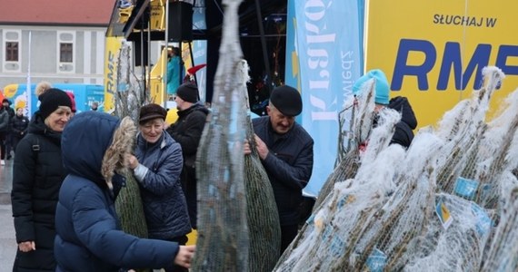 Kolejne "Choinki pod choinkę od RMF FM i Małopolski" rozdane! W sobotę rano kilkaset drzewek trafiło do chętnych w Bochni, a po południu byliśmy z Wami w Oświęcimiu. Atrakcji było co niemiara! Już w niedzielę spotykamy się w Katowicach. Sprawdzajcie, kiedy dotrzemy do Waszego miasta!