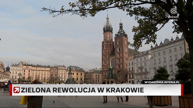 Na Rynek Główny w Krakowie wrócą drzewa. Wszystko dzięki mieszkańcom, którzy zgłosili ten pomysł do budżetu obywatelskiego. 