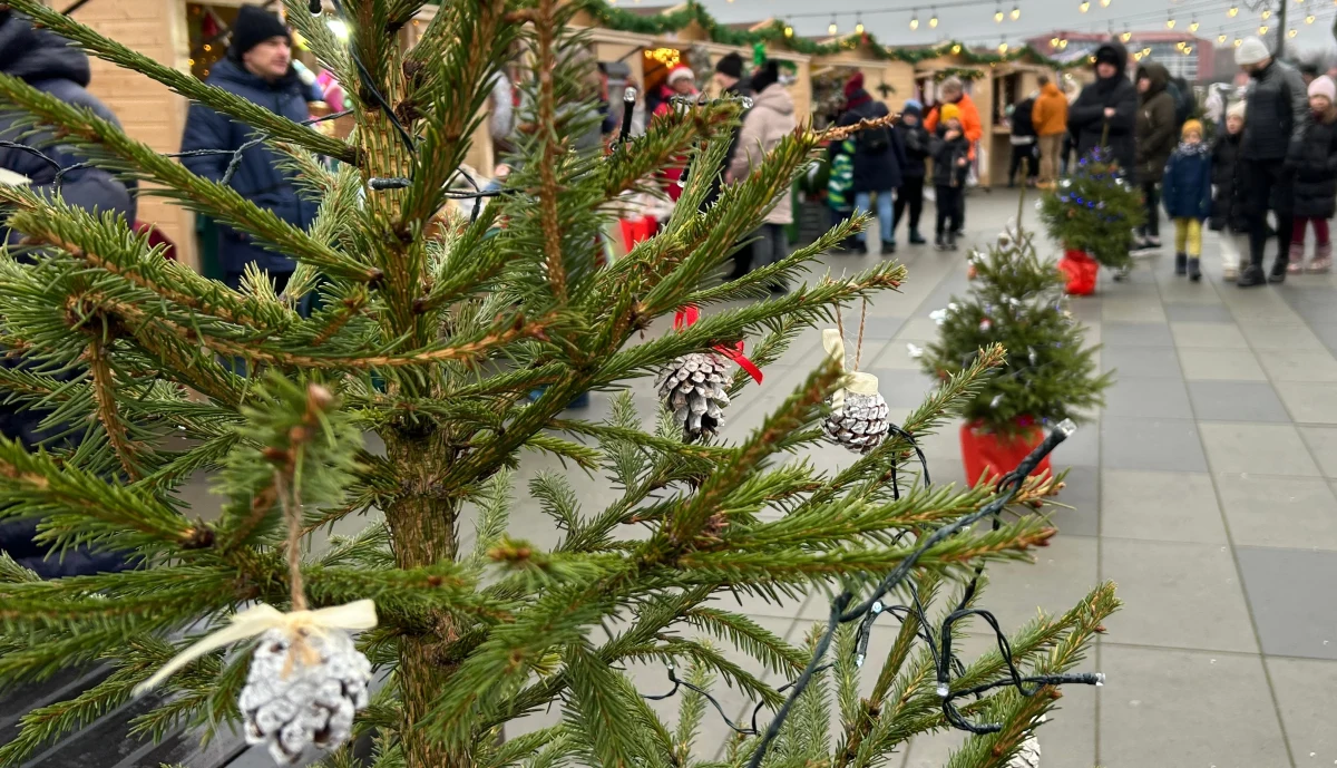 W Mikołajkach w niedzielę odbył się 18. Bieg Mikołajkowy i jarmark świąteczny. Wioska Żeglarska w ten weekend stała się Wioską Świętego Mikołaja - a wszystko to w ramach akcji "Mikołajki w Mikołajkach".