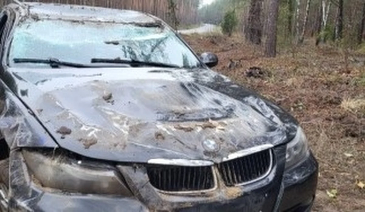 Zaledwie kilkadziesiąt minut cieszyła się nowym autem 18-latka z woj. warmińsko-mazurskiego. Na terenie gminy Łyse młoda kobieta, jadąc bmw, straciła panowanie nad pojazdem, zjechała na pobocze i dachowała. Kilkanaście metrów dalej był przepust wodny. 