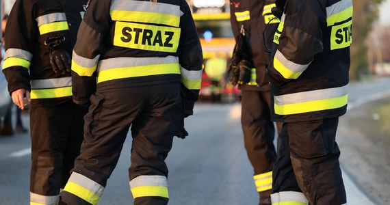 Strażacy i strażnicy graniczni dołączają do akcji protestacyjnej ogłoszonej przez policyjnych związkowców. Protest ogłosiła strażacka "Solidarność", a związek funkcjonariuszy straży granicznej informuje o gotowości do podjęcia ogólnokrajowej akcji protestacyjnej. 