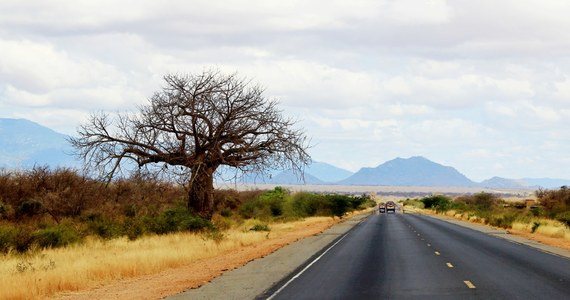 Dwóch polskich turystów zginęło w wypadku na autostradzie Nairobi-Mombasa w Kenii. Jak przekazała kenijska policja, partnerki mężczyzn oraz kenijski przewodnik zostali poważnie ranni. 