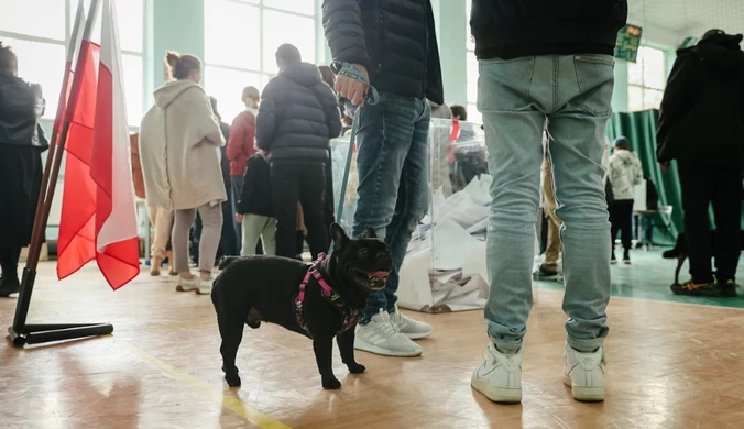 Dali władzę KO, teraz zmieniają front. Zaskakująca zmiana w sondażu