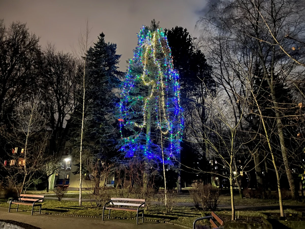 Dla mieszkańców os. Mickiewicza w Lublinie to już tradycja. Co rok spotykają się obok fontanny, żeby ubrać choinkę.