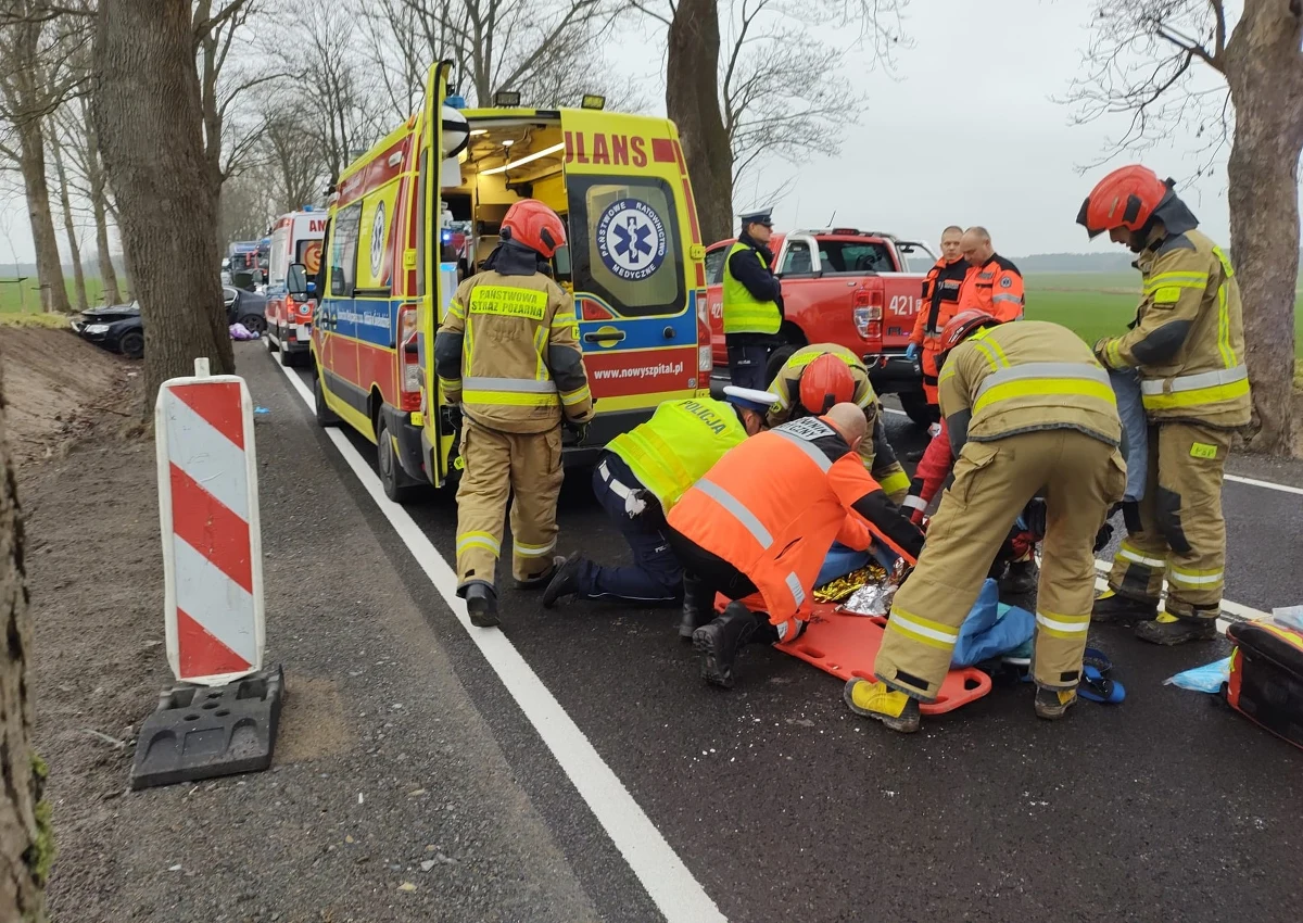 Dziewięć osób, w tym sześcioro dzieci, zostało rannych w wypadku, do którego doszło w miejscowości Chociule koło Świebodzina w Lubuskiem. Pojazd, którym jechali, uderzył w drzewo.