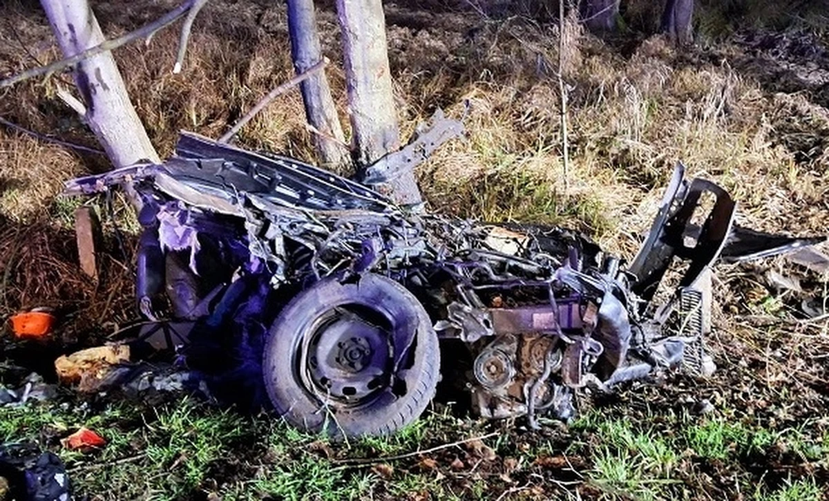 Trzy osoby zginęły nocą w wypadku w Skokach w gminie Gostynin (Mazowieckie). Wszyscy podróżowali skodą.