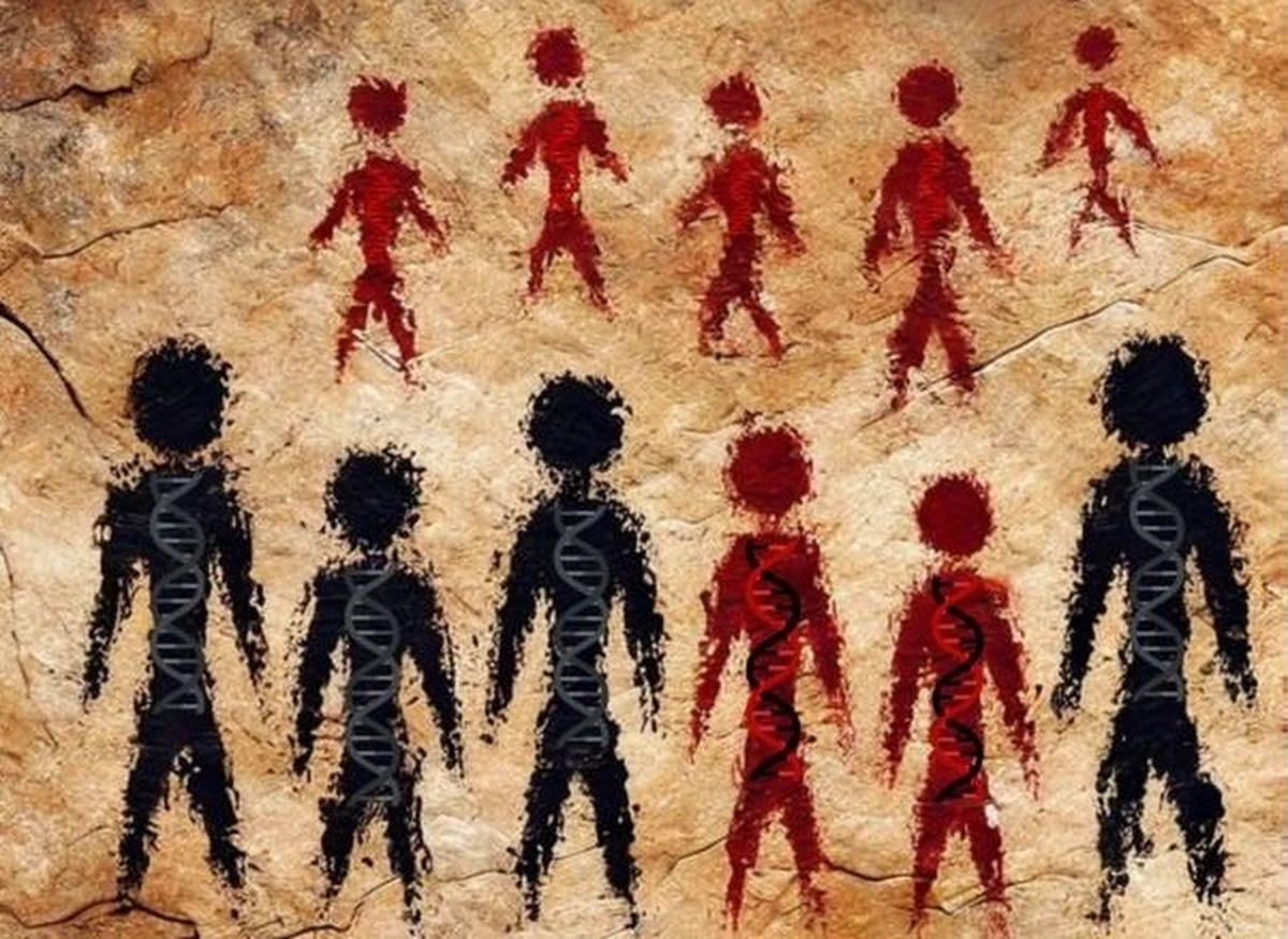 Międzynarodowa grupa naukowców doprecyzowała informacje na temat czasów, kiedy nasi dalecy przodkowie krzyżowali się z neandertalczykami. Badacze z University of California w Berkeley, University of Rochester i Max Planck Institute for Evolutionary Anthropology (MPI-EVA) w Lipsku opisują na łamach czasopisma "Science" wyniki najnowszych analiz genomu współczesnych ludzi i starożytnych Homo sapiens z Europy i Azji. Wskazują one na to, że okres krzyżowania się człowieka współczesnego i neandertalczyka rozpoczął się ok. 50,5 tysiąca lat temu i trwał mniej więcej 7 tysięcy lat.