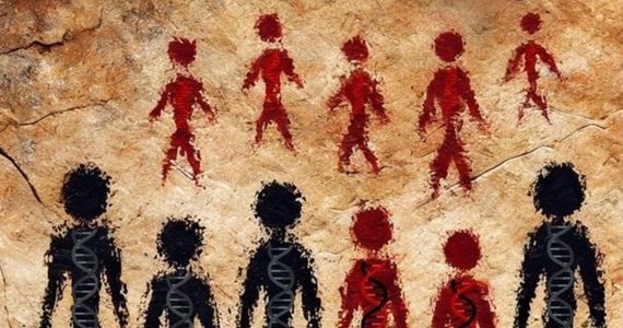 Międzynarodowa grupa naukowców doprecyzowała informacje na temat czasów, kiedy nasi dalecy przodkowie krzyżowali się z neandertalczykami. Badacze z University of California w Berkeley, University of Rochester i Max Planck Institute for Evolutionary Anthropology (MPI-EVA) w Lipsku opisują na łamach czasopisma "Science" wyniki najnowszych analiz genomu współczesnych ludzi i starożytnych Homo sapiens z Europy i Azji. Wskazują one na to, że okres krzyżowania się człowieka współczesnego i neandertalczyka rozpoczął się ok. 50,5 tysiąca lat temu i trwał mniej więcej 7 tysięcy lat.