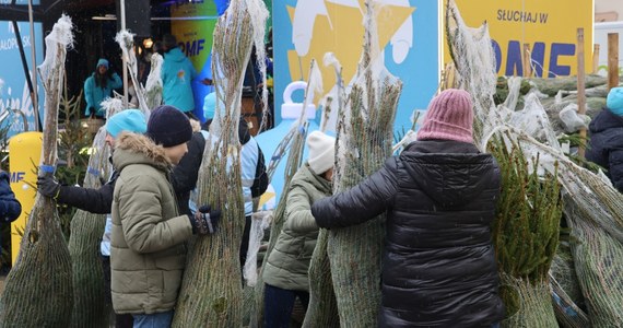 Dziś - już po raz ostatni w tym roku - rozdamy kilkaset bożonarodzeniowych drzewek. Wszystko w ramach akcji "Choinki pod choinkę od RMF FM i Małopolski". Podczas finału nasz żółto-niebieski konwój zawita do Krakowa.