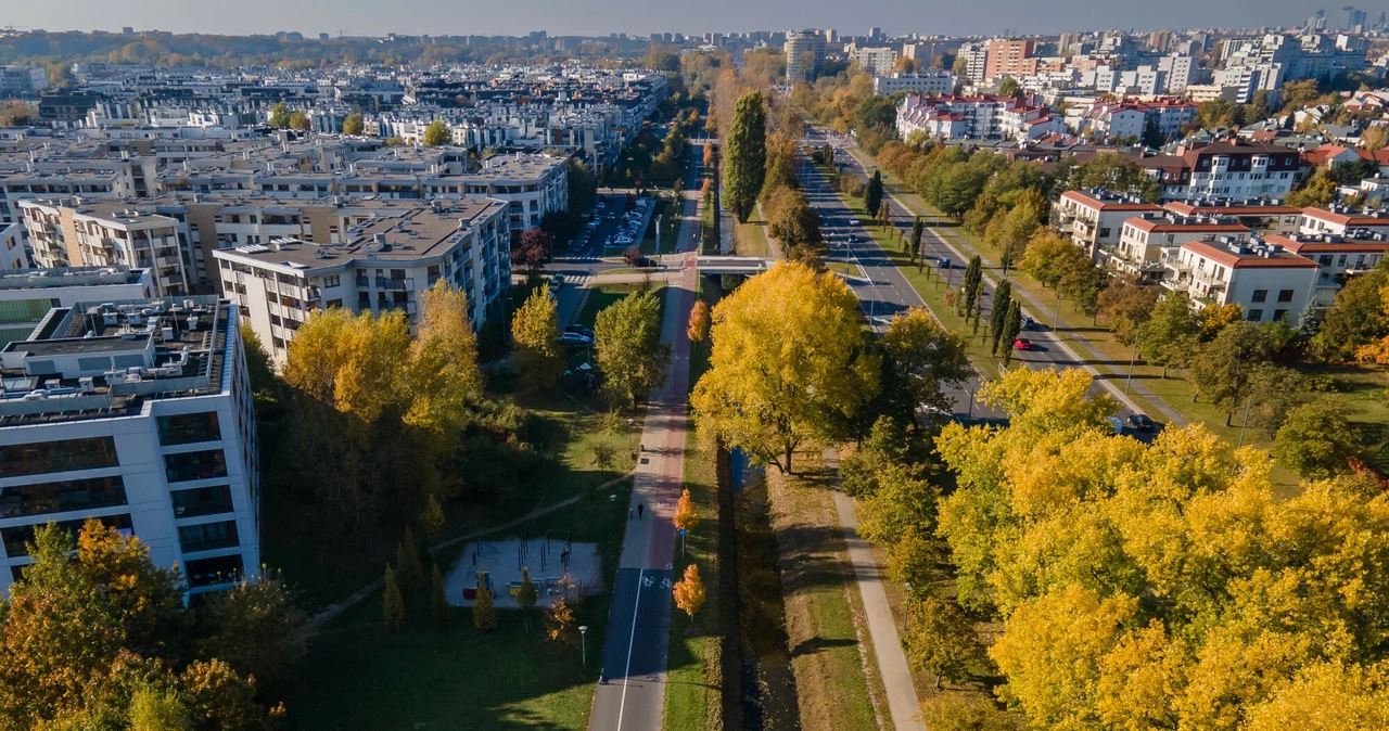 Miasto gęste wcale nie musi być pozbawione zieleni