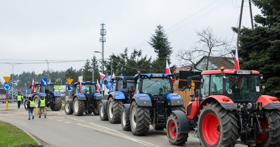 "W czasie polskiej prezydencji (od 1 stycznia 2025 roku - przyp. red.) chcemy rozpocząć przegląd Zielonego Ładu, by uprościć go, ograniczyć obciążenia administracyjne dla rolników" - zapowiedział w piątek szef resortu Czesław Siekierski. "Podnoszone mają być też kwestie dotyczące rozszerzenia UE oraz wpływu umów handlowych" - dodał. Podkreślił też, że producenci rolni do końca roku otrzymali lub otrzymają w sumie ok. 20 mld zł ze środków unijnych. 