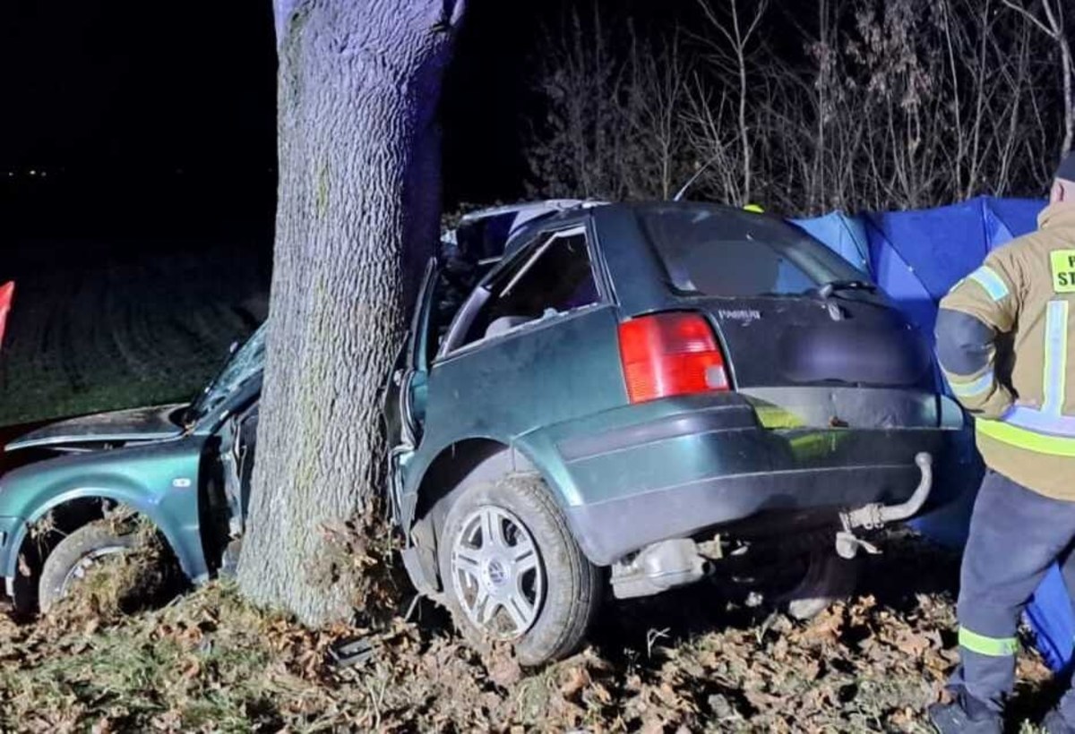 39-latka zmarła na miejscu, a 4-letnie dziecko trafiło do szpitala - to tragiczny bilans wypadku, do którego doszło w piątek wczesnym wieczorem na drodze krajowej nr 48 w miejscowości Sierskowola w województwie lubelskim.