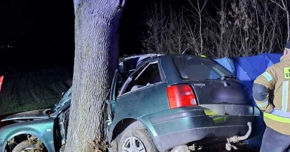 39-latka zmarła na miejscu, a 4-letnie dziecko trafiło do szpitala - to tragiczny bilans wypadku, do którego doszło w piątek wczesnym wieczorem na drodze krajowej nr 48 w miejscowości Sierskowola w województwie lubelskim.