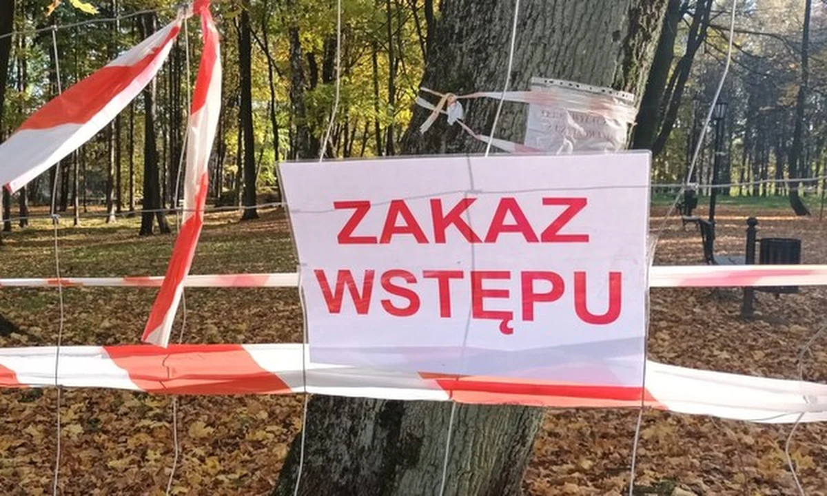 W Bolesławiu w pow. olkuskim (Małopolskie) zapadła się ziemia. Zapadlisko powstało przy ulicy Głównej, tuż obok bloków mieszkalnych, vis a vis urzędu gminy. Dziura pojawiła się pod murowanym ciągiem komórek lokatorskich.