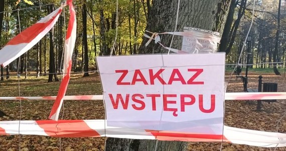 W Bolesławiu w pow. olkuskim (Małopolskie) zapadła się ziemia. Zapadlisko powstało przy ulicy Głównej, tuż obok bloków mieszkalnych, vis a vis urzędu gminy. Dziura pojawiła się pod murowanym ciągiem komórek lokatorskich.