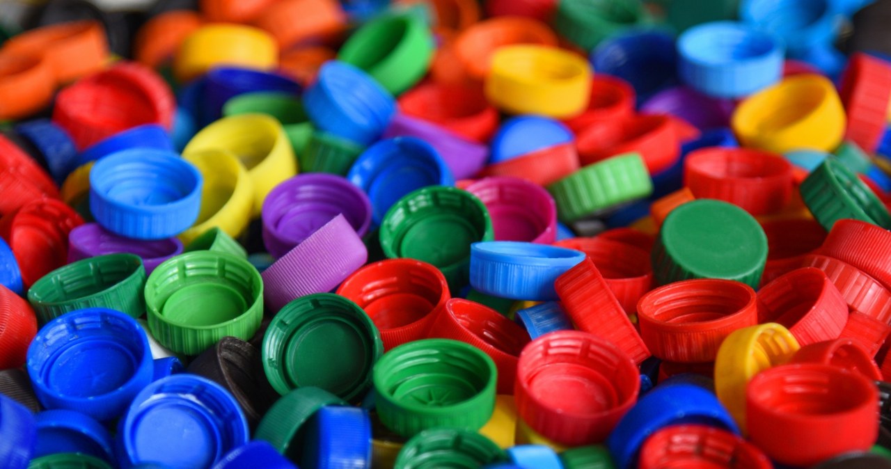 Mikroplastik osłabia makrofagi. Co to oznacza dla naszego zdrowia?