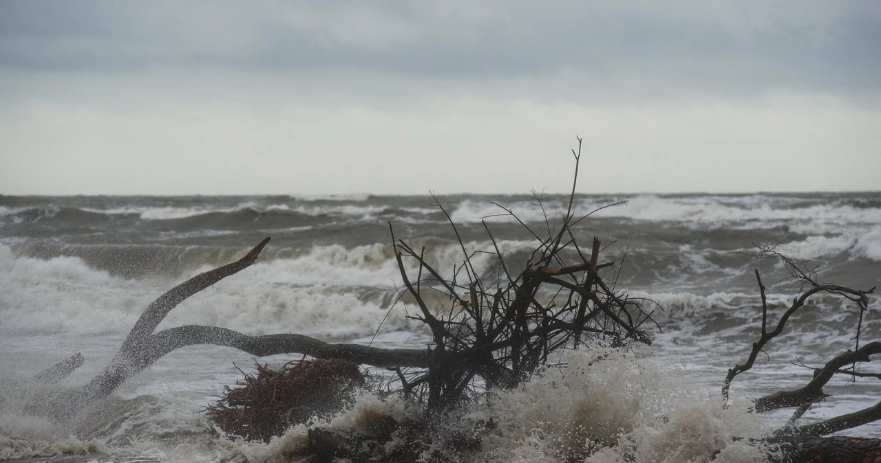 Na północy kraju powieje najsilniejszy wiatr. Rano na Helu zanotowano 94 km/h. W większości kraju obowiązują z tego powodu alerty IMGW pierwszego i drugiego stopnia