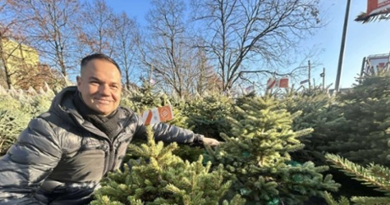 Skąd biorą się świąteczne drzewka? Jak wybrać dla siebie choinkę idealną i co zrobić, by jodła czy świerk cieszyły nas jak najdłużej? O podpowiedzi poprosiliśmy prawdziwego eksperta w choinkowej branży i właściciela największej w Polsce, położonej nad morzem, koło Trzęsacza w Zachodniopomorskiem plantacji choinek, gdzie na kolejne święta czekają miliony drzewek.