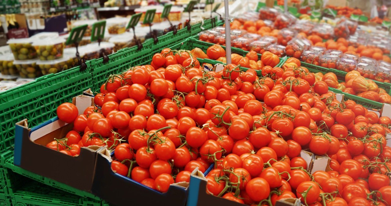 Powąchaj pomidora w konkretnym miejscu. Tak wybierzesz najsmaczniejszy okaz