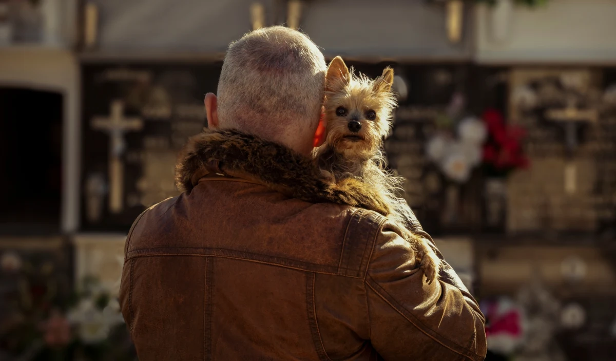 Krakowski urząd miasta w internetowej ankiecie zapytał mieszkańców, czy psy powinny wchodzić na cmentarze. 57 proc. ankietowanych opowiedziało się przeciwko takiej możliwości.