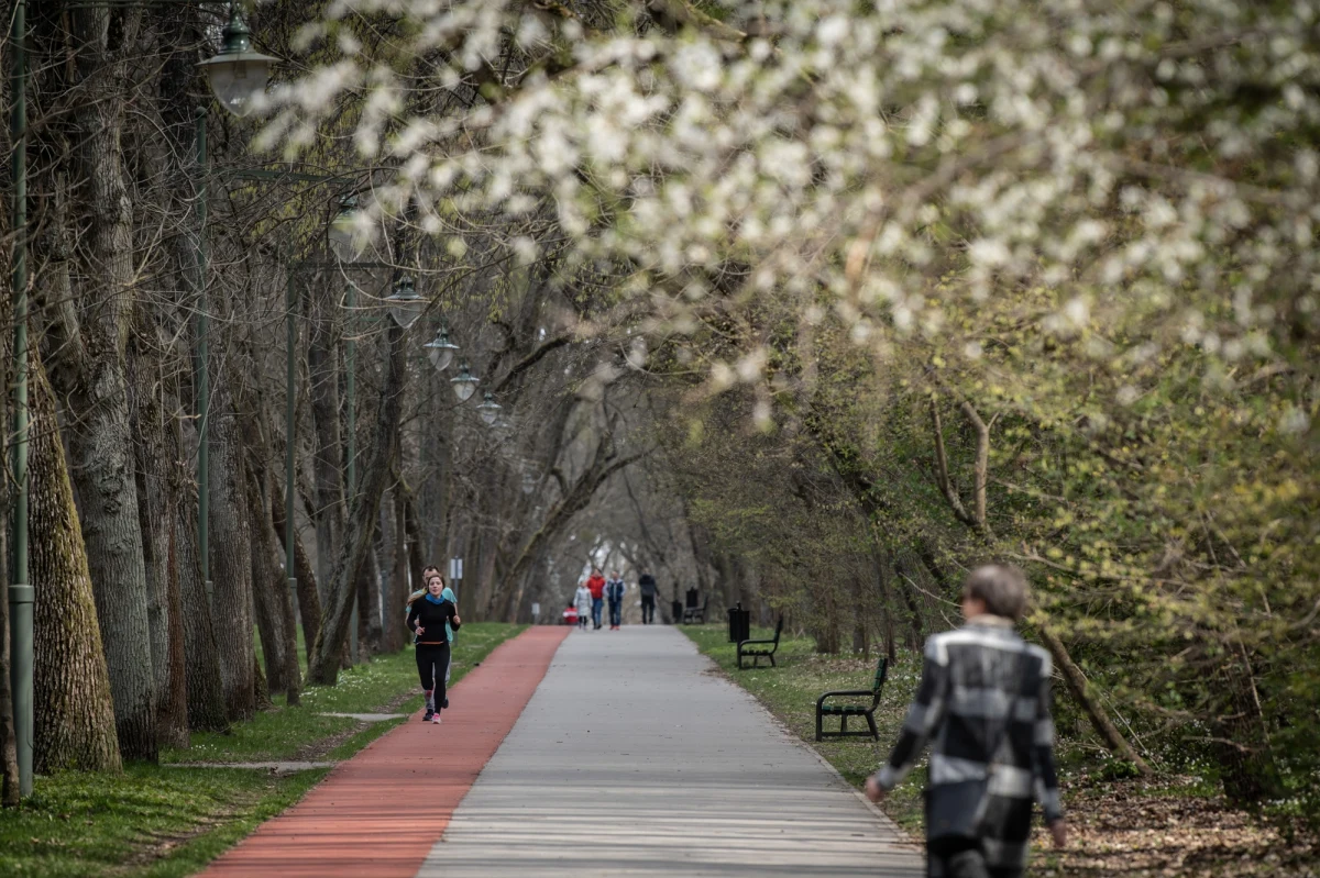 Prokuratura regionalna umorzyła postępowanie w sprawie zabójstwa 57-letniej kobiety w parku na Zdrowiu w Łodzi, do którego doszło w 2021 roku. Po trzech latach śledztwa nadal nie udało się ustalić sprawcy zbrodni.