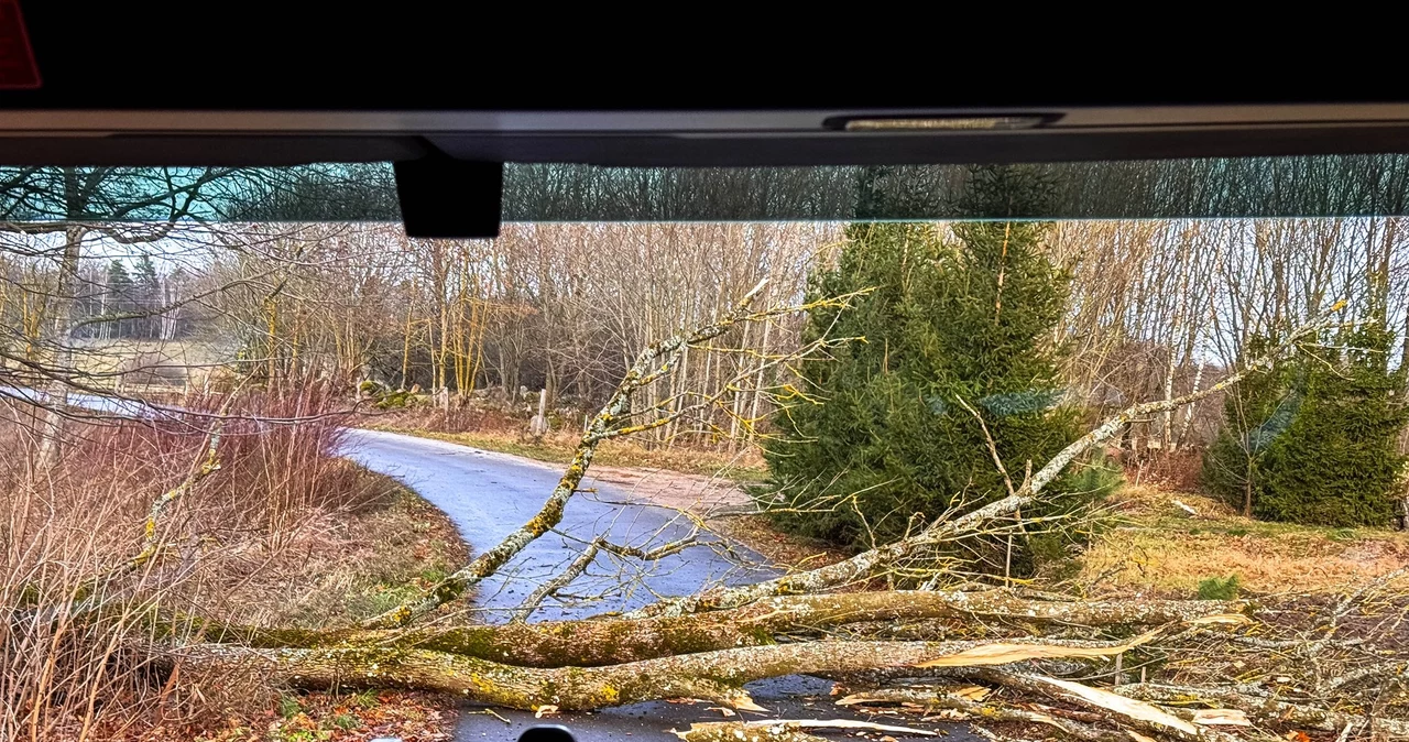 Tysiące interwencji strażaków w związku z wichurami