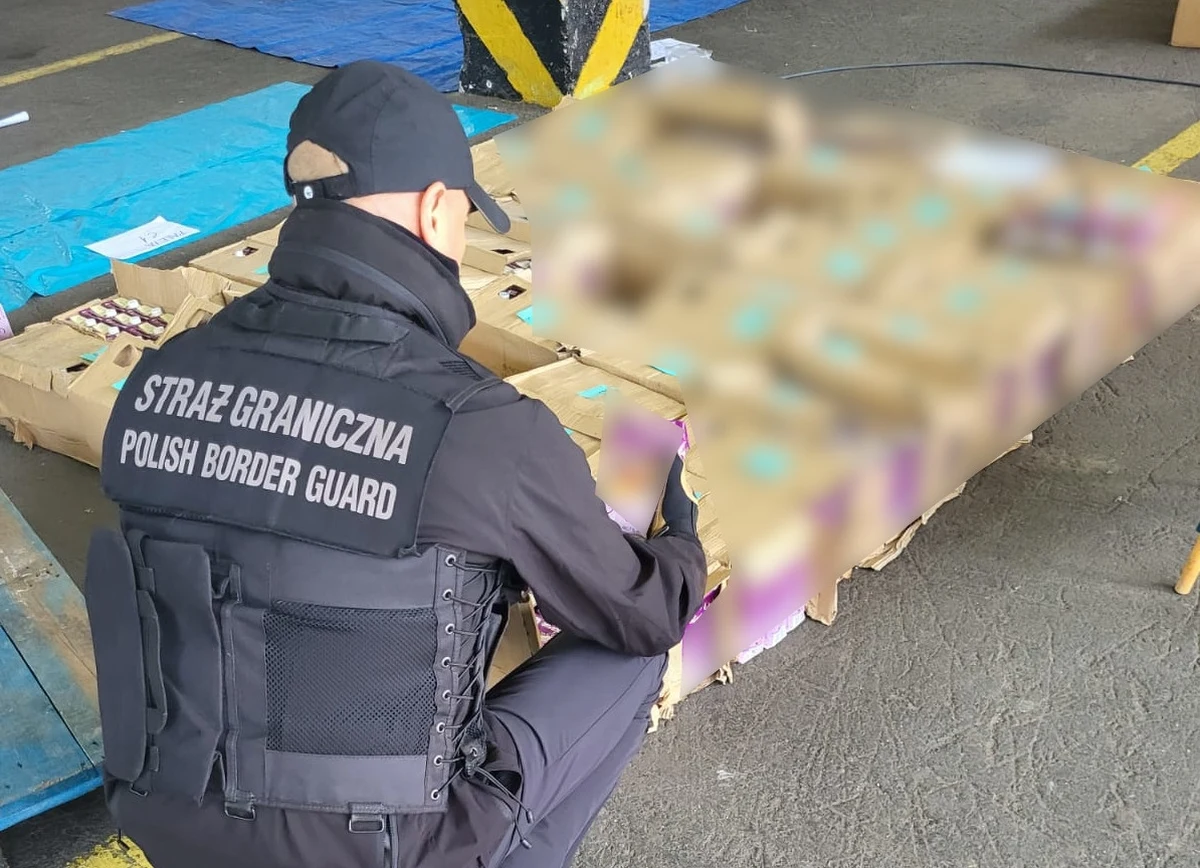 44 litry płynnej kokainy o czarnorynkowej wartości 7,5 mln złotych skonfiskowali funkcjonariusze Morskiego Oddziału Straży Granicznej w Gdańsku razem ze Służbą Celną Republiki Czeskiej. Towar ukryty był w kartonach z winem. 