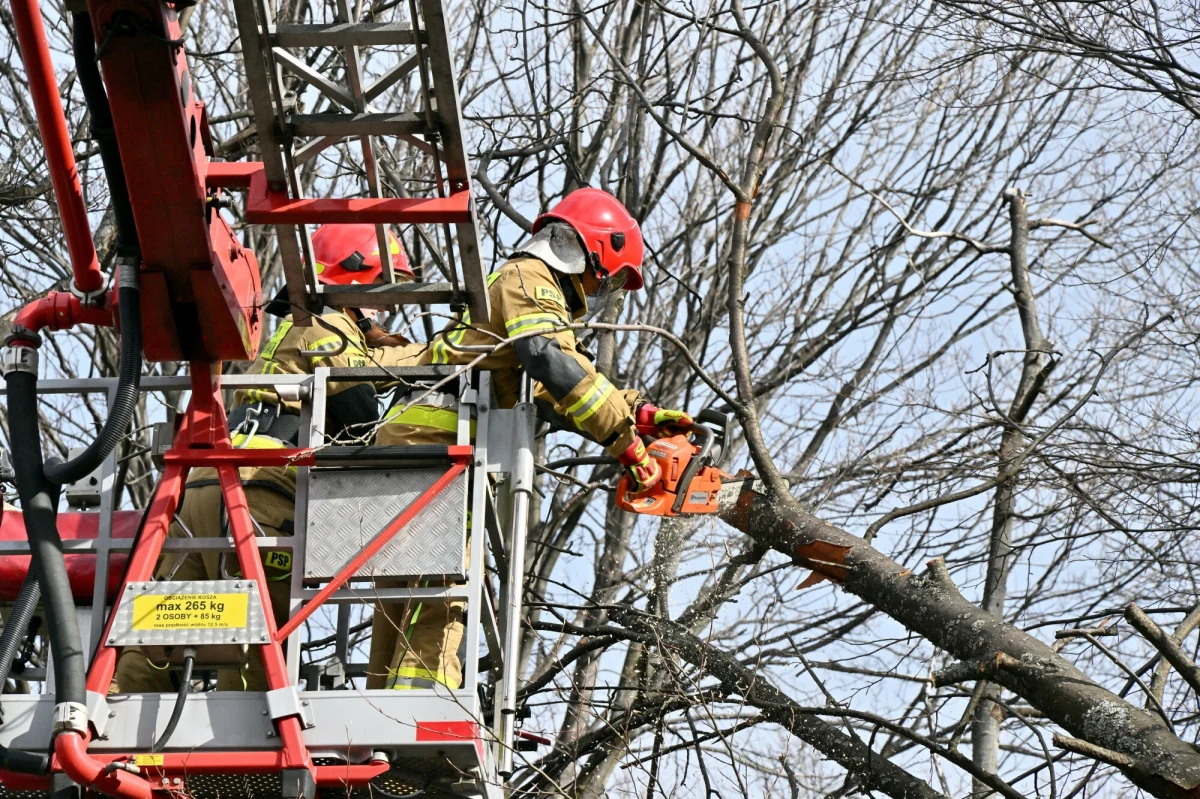 4 tys. odbiorców wciąż pozostaje bez prądu po wczorajszej i nocnej wichurze w północnej części kraju. Brygady elektromonterskie pracują od Koszalina po Mrągowo.