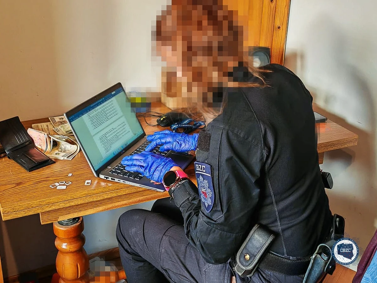 Funkcjonariusze Centralnego Biura Zwalczania Cyberprzestępczości w Łodzi zatrzymali dwóch mężczyzn, którzy oszukali popularny portal aukcyjny na kwotę ponad 800 tys. Obaj trafili do aresztu. 