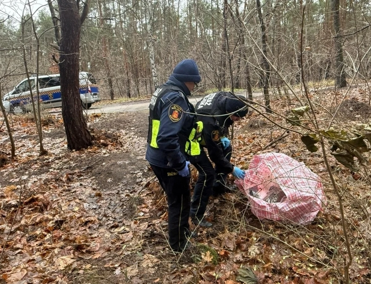 Blisko 700 gramów narkotyków było w torbie, którą nieopodal leśnej drogi zauważyli strażnicy miejscy z Warszawy. Funkcjonariusze ujęli też i przekazali policji mężczyznę, który krążył wokół podrzuconej w lesie kontrabandy.
