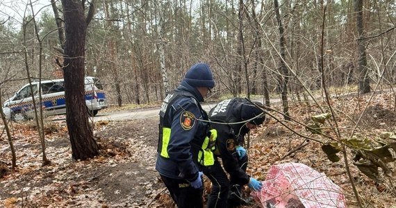 Blisko 700 gramów narkotyków było w torbie, którą nieopodal leśnej drogi zauważyli strażnicy miejscy z Warszawy. Funkcjonariusze ujęli też i przekazali policji mężczyznę, który krążył wokół podrzuconej w lesie kontrabandy.