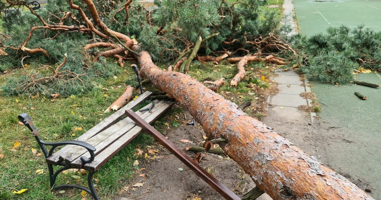 Wichury w Polsce pojawią się wieczorem nad Bałtykiem. Tam może wiać do 80 km/h. Z kolei w Sudetach porywy mogą osiągać nawet 120 km/h