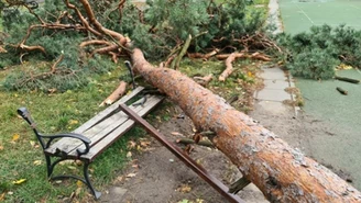 Niebezpieczna zmiana w najbliższych godzinach. Jest ostrzeżenie