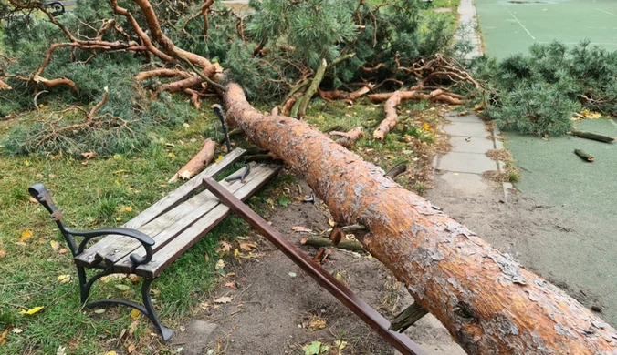 Niebezpieczna zmiana w najbliższych godzinach. Jest ostrzeżenie