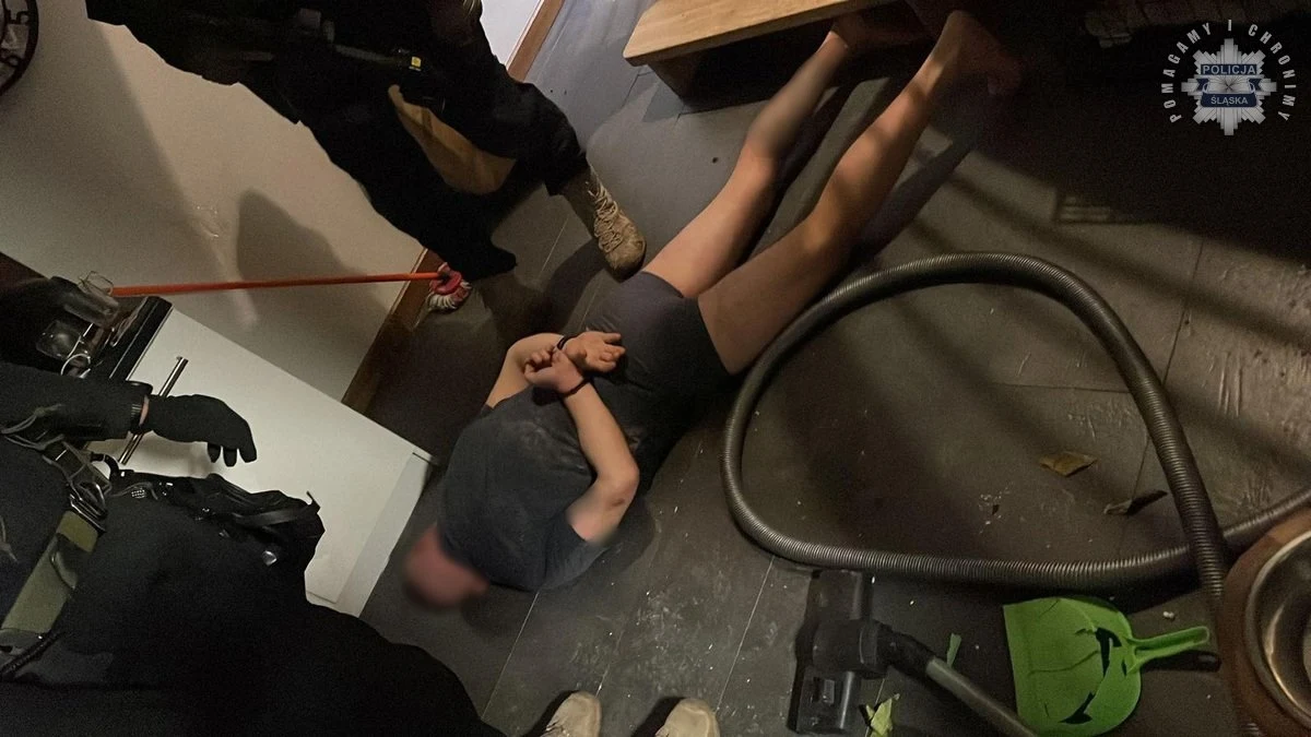 Śląscy policjanci zatrzymali dziesięcioro kolejnych członków Torcidy - gangu założonego przez pseudokibiców Górnika Zabrze, który ma na koncie m.in. wprowadzanie na rynek kilku ton narkotyków o wartości ponad 100 mln zł, a także wiele przestępstw przeciwko życiu i zdrowiu. Ostatnio zatrzymane osoby mają od 31 do 57 lat, wśród nich są cztery kobiety.