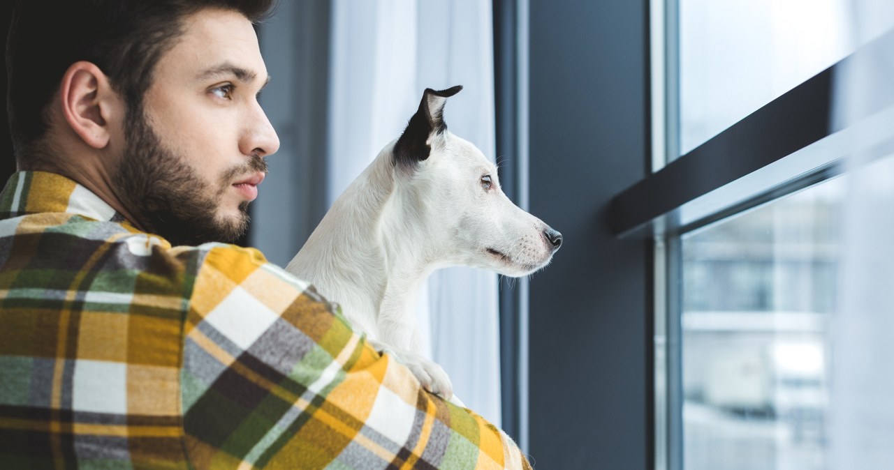 Rozumieją więcej, niż myśleliśmy. Zaskakujące odkrycie ws. psów