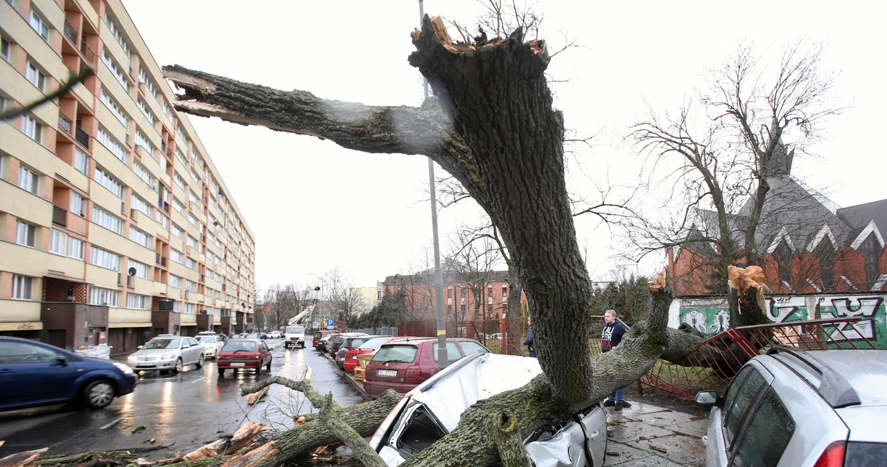 Silne wichury wrócą nie tylko w góry, lecz również nad morze. W czwartek wieczorem i w nocy na Wybrzeżu może wiać w porywach do 80 km/h. Zdjęcie ilustracyjne