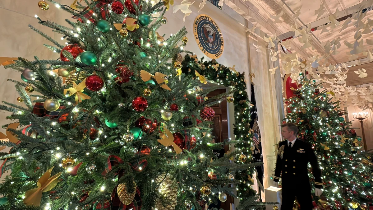 Kilometry wstążek, ponad 28 tysięcy ozdób, 165 tysięcy światełek oraz 83 choinki - tak wygląda w świątecznym czasie Biały Dom, rezydencja amerykańskiego prezydenta. Dekoracje oglądał amerykański korespondent RMF FMF Paweł Żuchowski.