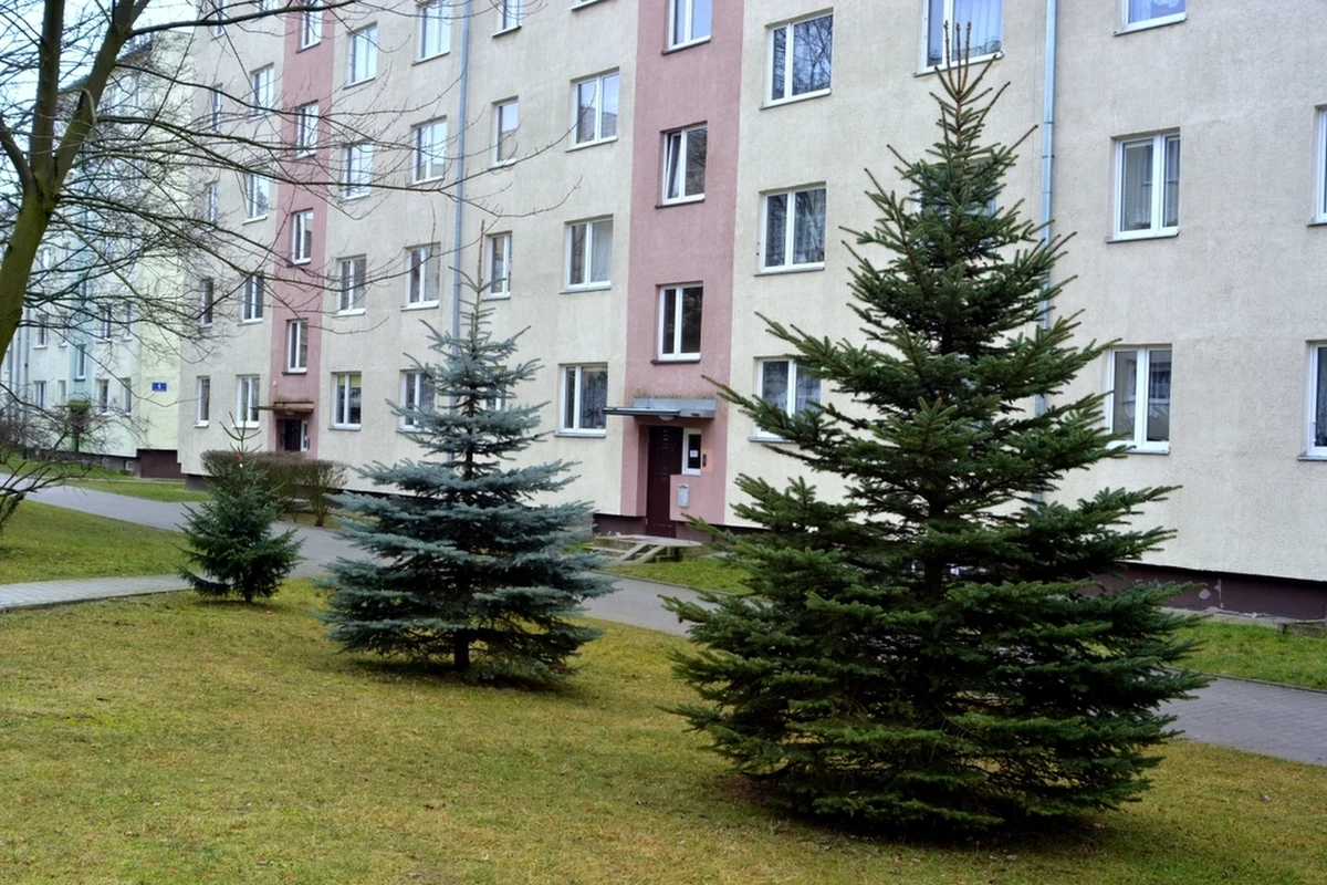 "Niestety, na przeważającym obszarze kraju to nie będą białe święta" - powiedział w rozmowie z Krzysztofem Urbaniakiem w Radiu RMF24 synoptyk Instytutu Meteorologii i Gospodarki Wodnej Piotr Szuster. Jak zaznaczył, śniegu można spodziewać się jedynie na południu Polski - głównie w górach.